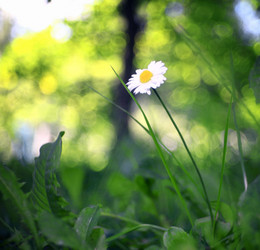 Similar image 10498734