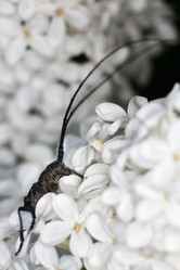 Similar image 10498735