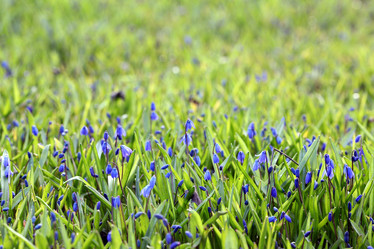 Similar image 10498736