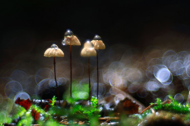 Similar image 10498738