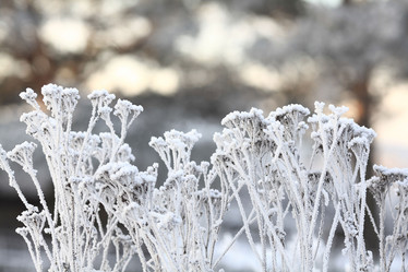 Similar image 10498743