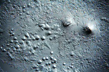 Similar image 10498749