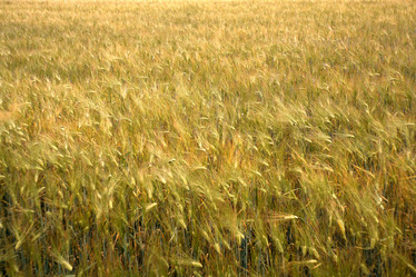 Similar image 10498755