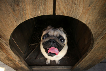 Similar image 10498760