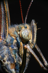 Similar image 10498764