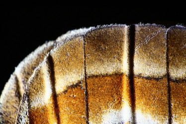 Similar image 10498765