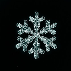 Similar image 10498768