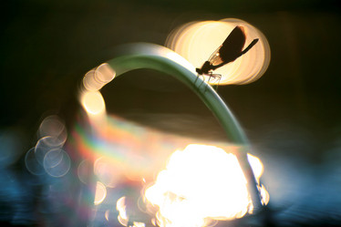 Similar image 10498769