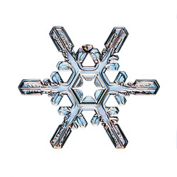 Similar image 10498770