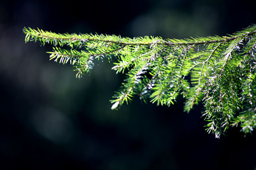 Similar image 10498837