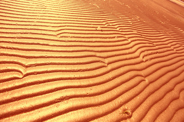 Similar image 10498848