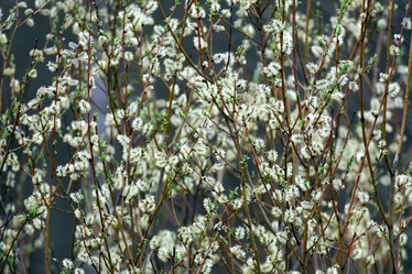 Similar image 10498849