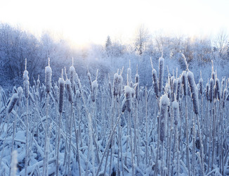 Similar image 10498858