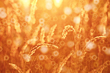 Similar image 10498865