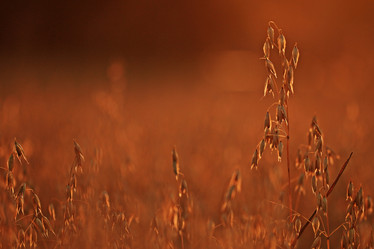 Similar image 10498867