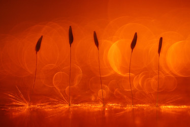 Similar image 10498871