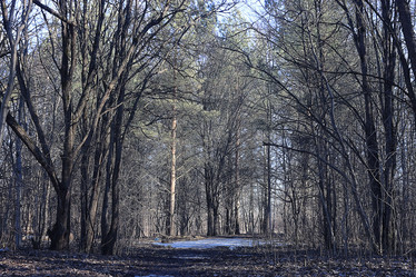 Similar image 10498876