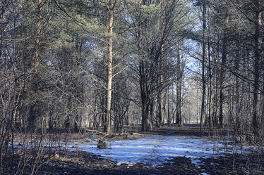 Similar image 10498885