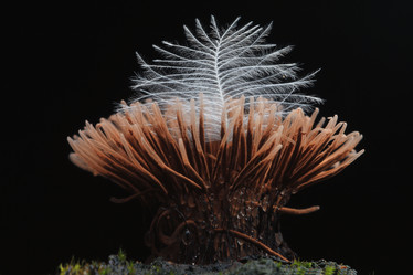 Similar image 10498886