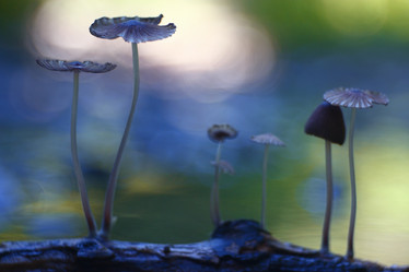 Similar image 10498890