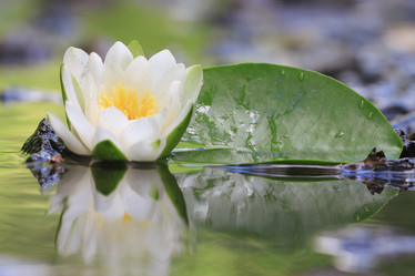 Similar image 10498906