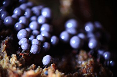 Similar image 10498911