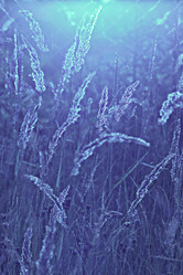 Similar image 10498912