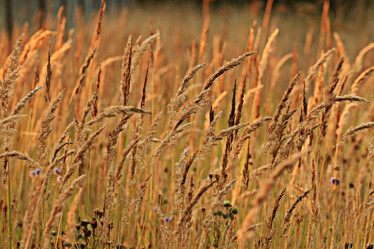 Similar image 10498913