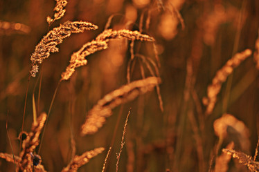 Similar image 10498914