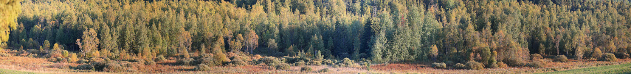 Similar image 10498915