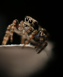 Similar image 10498918