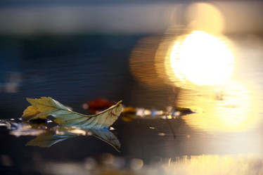 Similar image 10498919