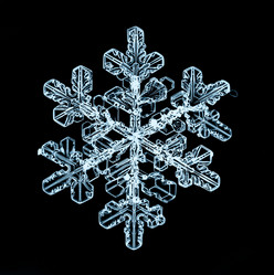 Similar image 10498925