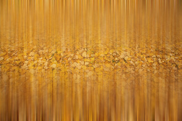 Similar image 10498927