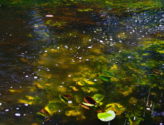 Similar image 10498928