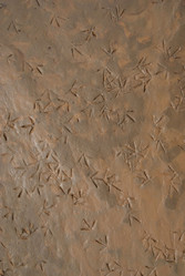 Similar image 10498930