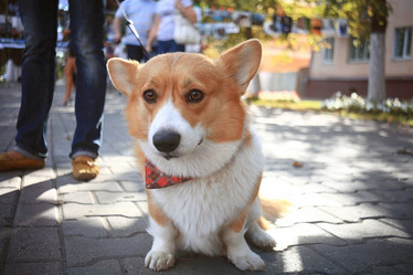 Similar image 10498931