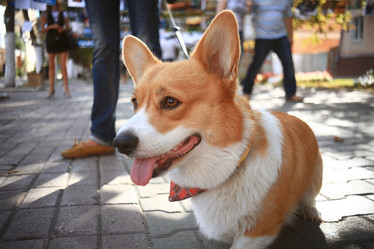 Similar image 10498933