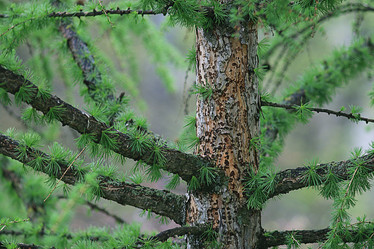 Similar image 10498938