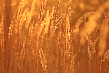 Similar image 10498942