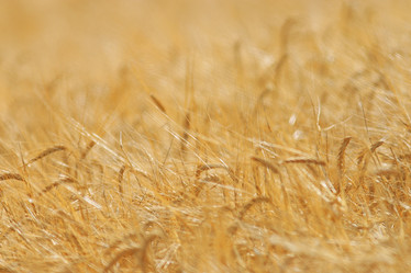 Similar image 10498946