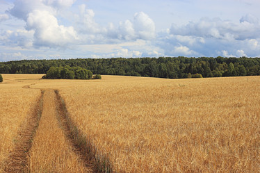 Similar image 10498949