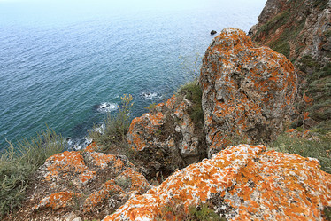 Similar image 10498950