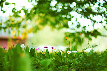 Similar image 10498954