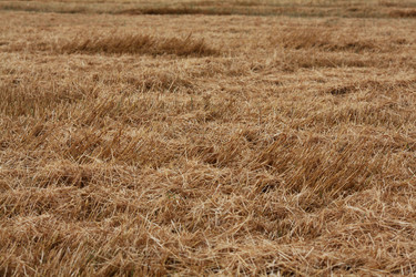 Similar image 10498956