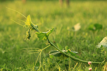 Similar image 10498958