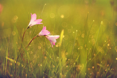 Similar image 10498961