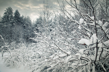 Similar image 10498964