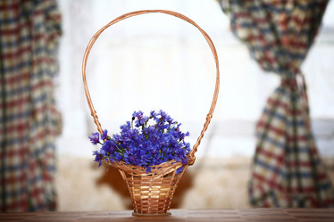 Similar image 10498968