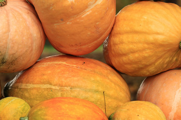 Similar image 10498970